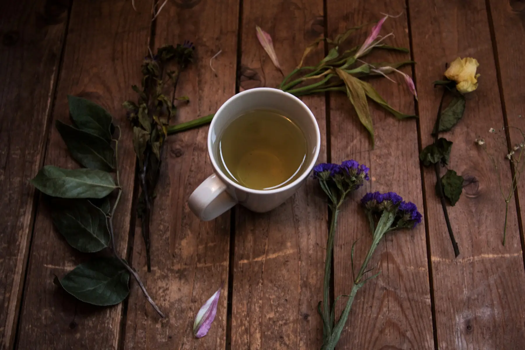Tasse Kräutertee mit frischen Kräutern und Blüten auf einem Holztisch